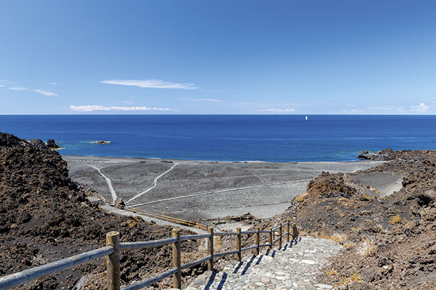 La Palma resurge tras la tragedia del incendio