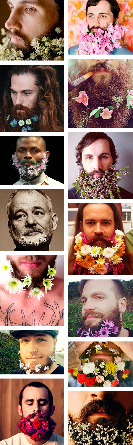 Barba de flores para los más transgresores