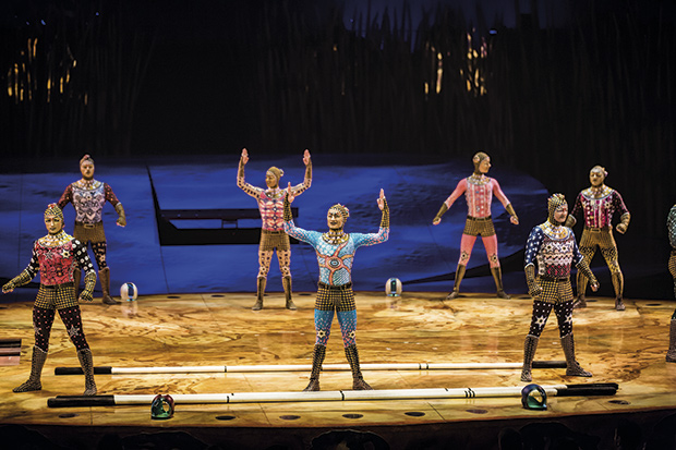 Cirque du Soleil vuelve a fascinar con ‘Totem’