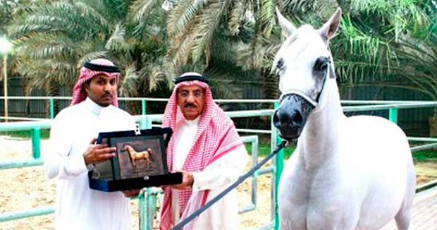 El "caballo gay" que van a ejecutar en A. Saudí