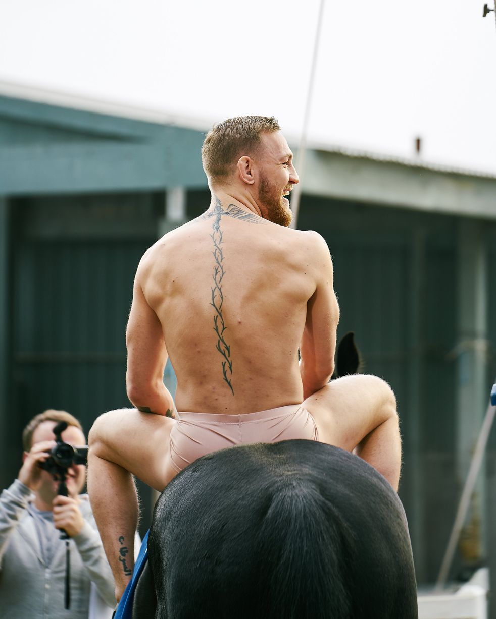 Conor McGregor, semidesnudo y a lomos de un caballo