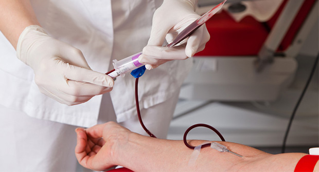 Francia permitirá donar sangre a los homosexuales