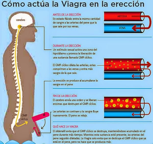 La peligrosa moda de la Viagra entre los jóvenes