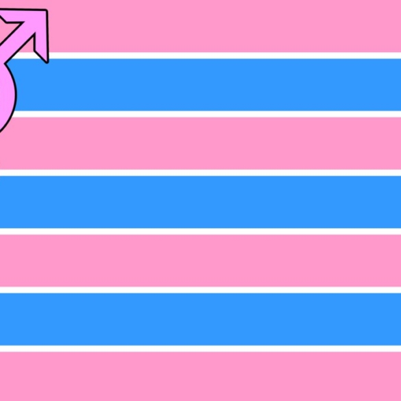 El 85% de transexuales está en paro debido a la discriminación