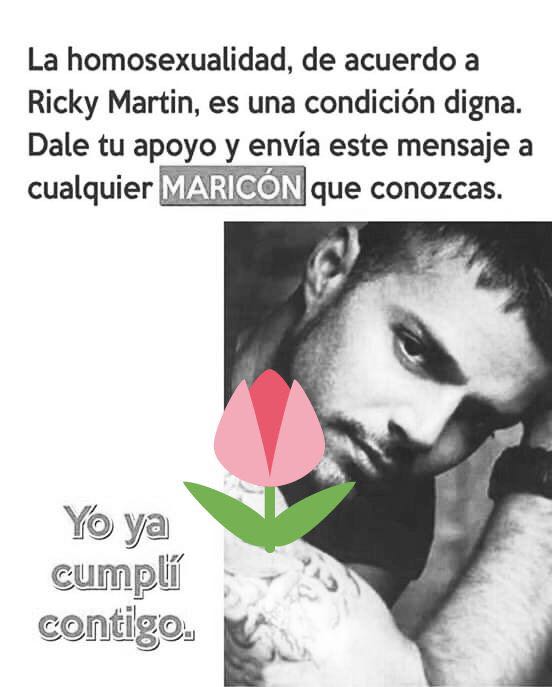Denunciamos el mensaje homófobo contra Ricky Martín que circula por WhatsApp