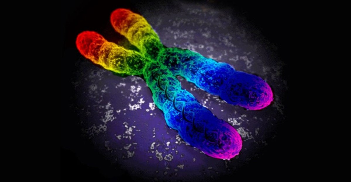 ¿Existe el 'gen gay'? La ciencia ha dado con la respuesta