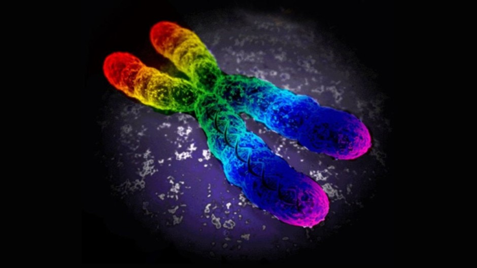 ¿Existe el ‘gen gay’? La ciencia ha dado con la respuesta