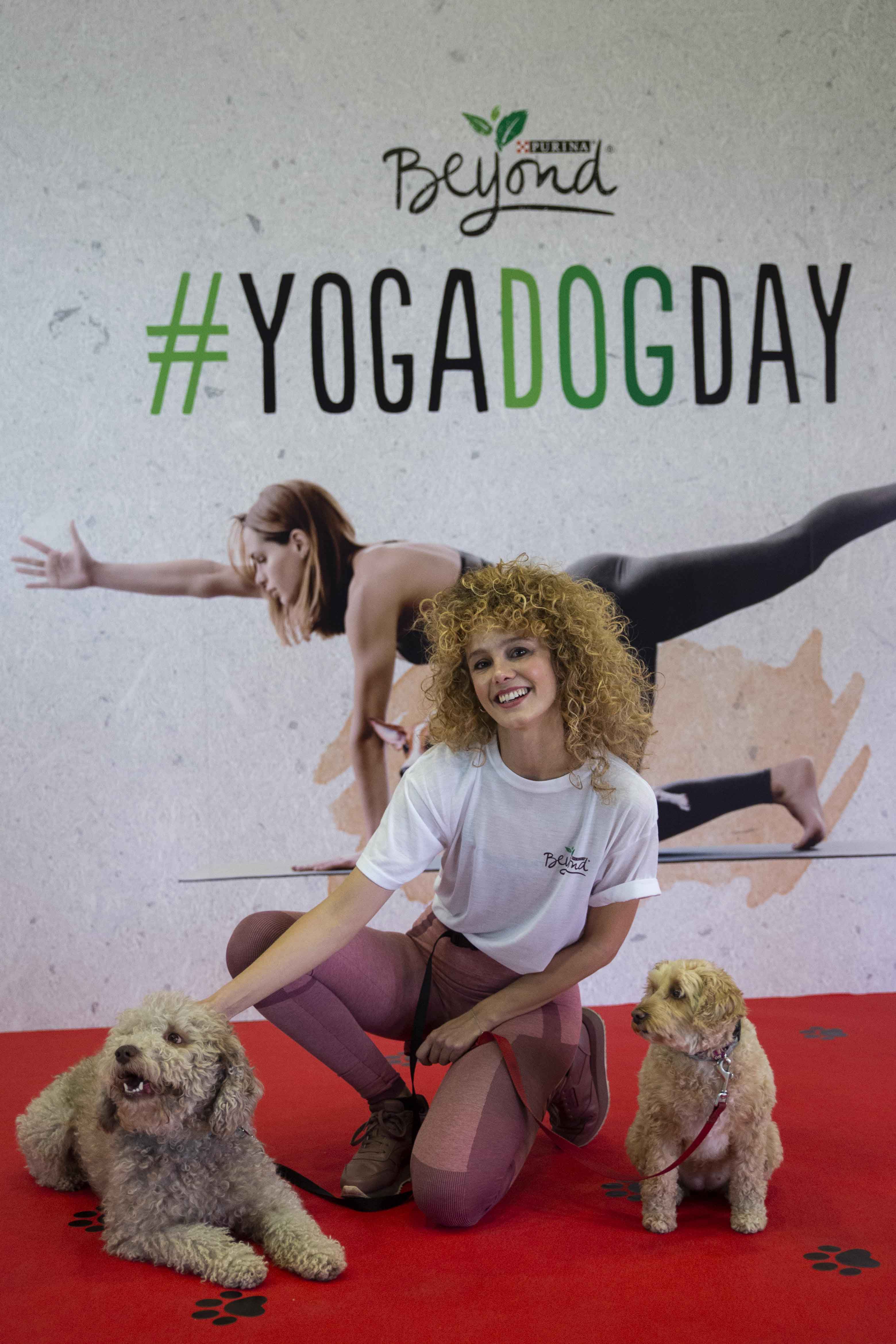 ¿Qué hacen tantos perros practicando yoga en la Gran Vía de Madrid?