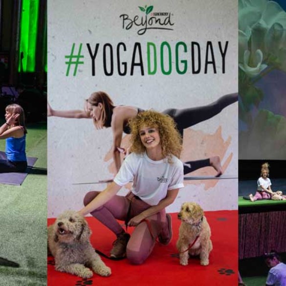¿Qué hacen tantos perros practicando yoga en la Gran Vía de Madrid?