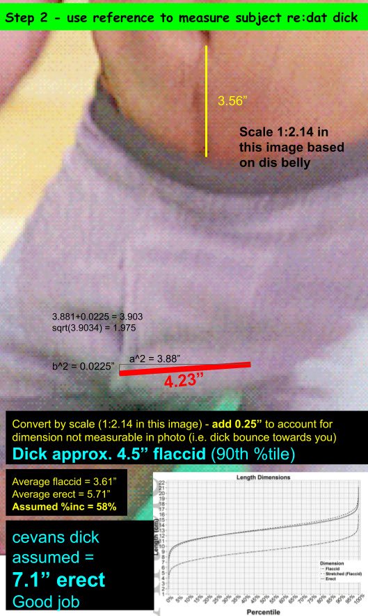 La teoría que dice cuánto le mide el pene a Chris Evans basándose en una foto de su paquete