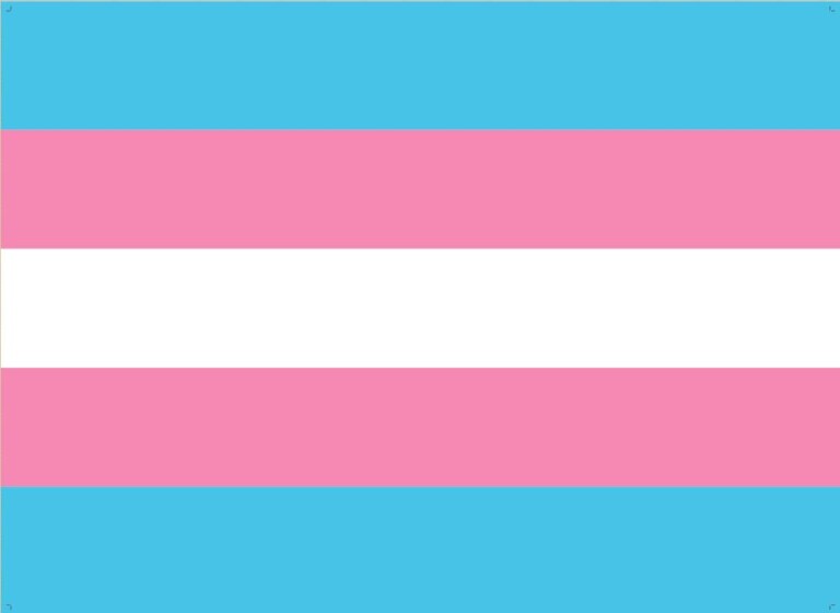 Descubre cuál es tu bandera LGTBIQ+ y qué representa - Shangay