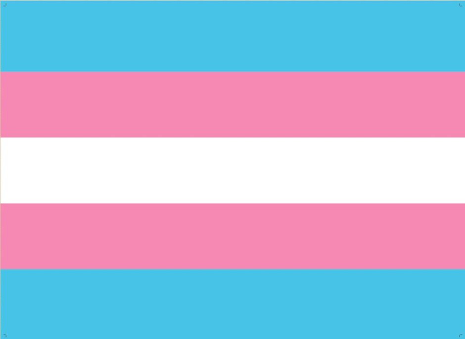Orgullo 2020: por ser mujer (trans)