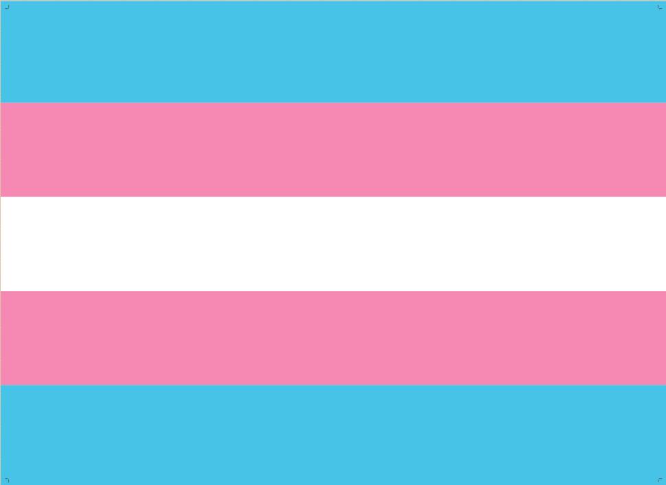 Descubre cuál es tu bandera LGTBI+ y qué representa