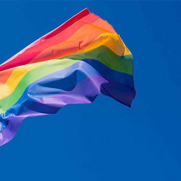 Vox pide que la bandera arcoíris deje de ser un símbolo LGTBI