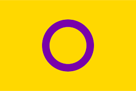 Descubre cuál es tu bandera LGTBIQ+ y qué representa