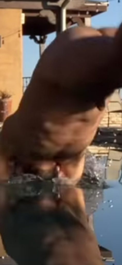 Adrian Grenier enseña su pene por despiste (y se marca un desnudo a lo Chris Evans)