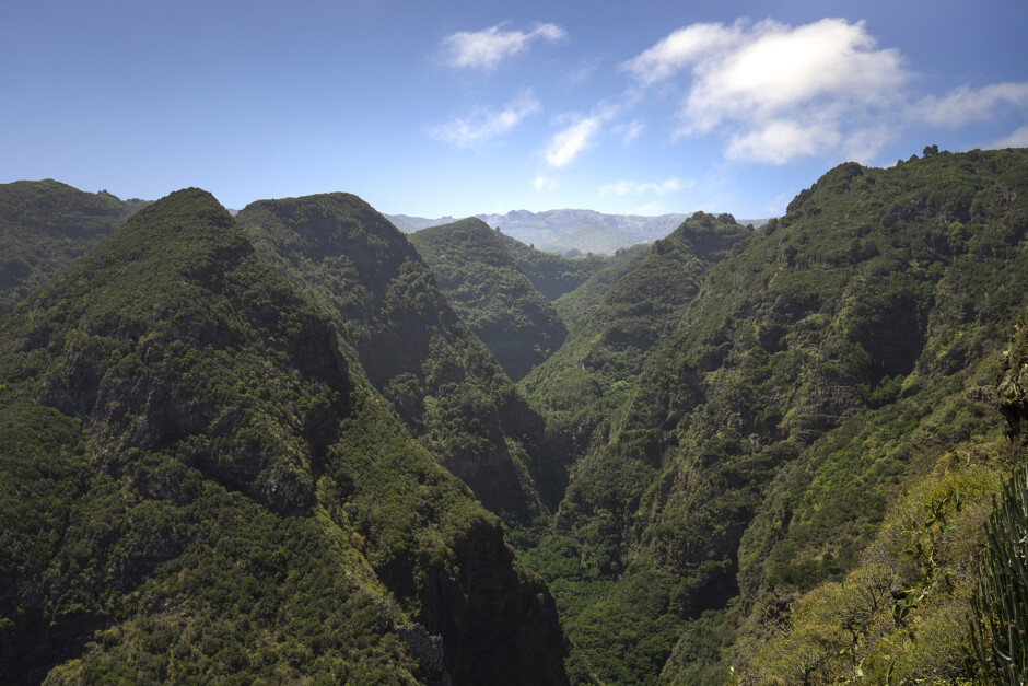 La Palma: por mil razones (aparte del volcán)