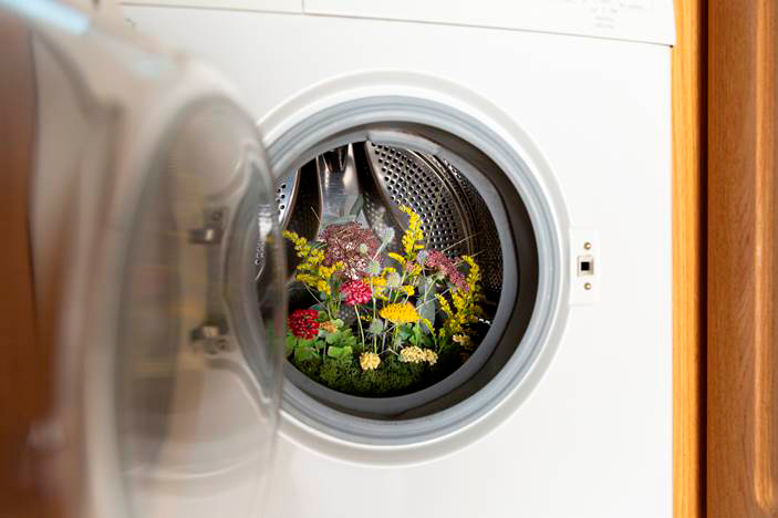 Telelavo: la lavadora en casa tiene los días contados
