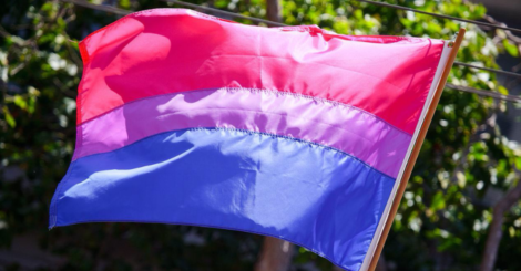 Bandera bisexual