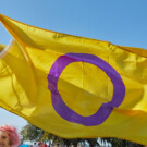 Bandera Bisexual Intersexual