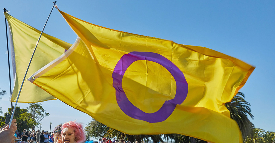 Bandera Bisexual Intersexual