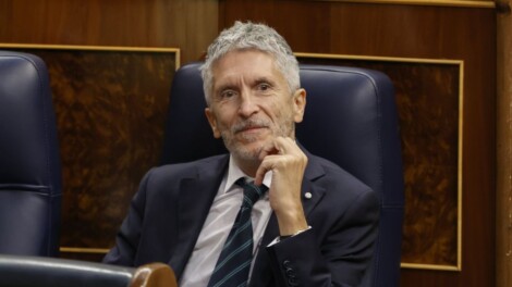 Fernando Grande-Marlaska, ministro del Interior de España