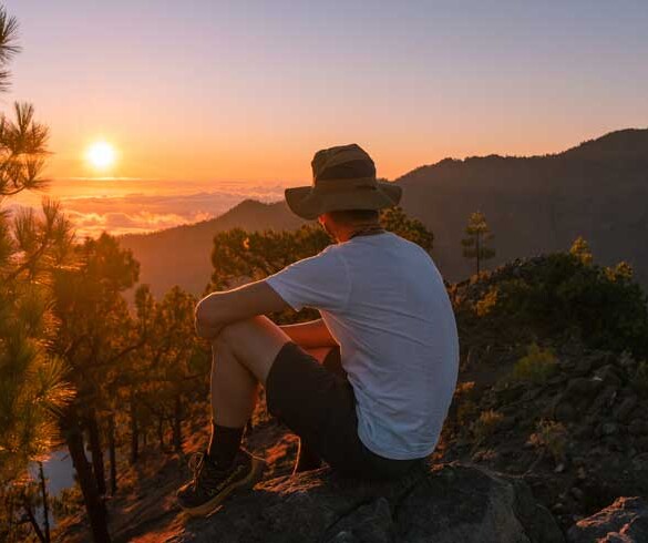 La Palma, el lujo de poder desconectar en plena naturaleza