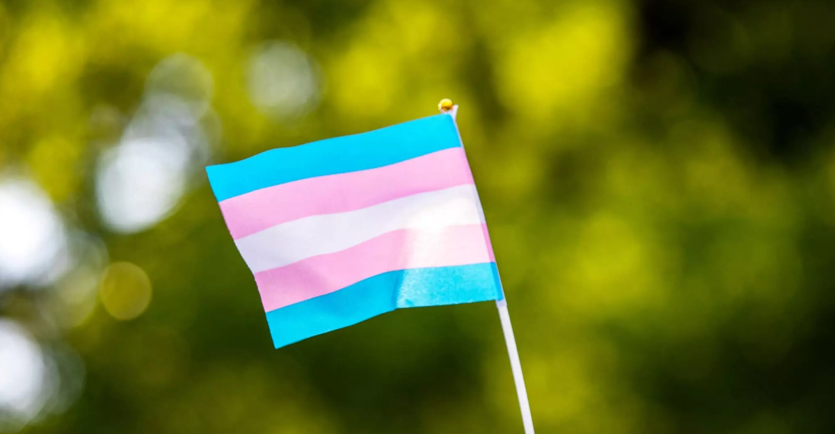 Alemania aprueba su ley trans