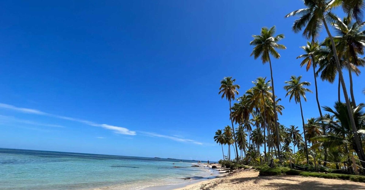 Desde este nuevo destino de la compañía puedes darte un salto a las espectaculares playas del norte del país.