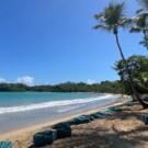 Las espectaculares playas del norte de República Dominicana están muy cerca de Santiago de los Caballeros.