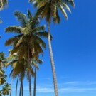 Las espectaculares playas del norte de República Dominicana están muy cerca de Santiago de los Caballeros.