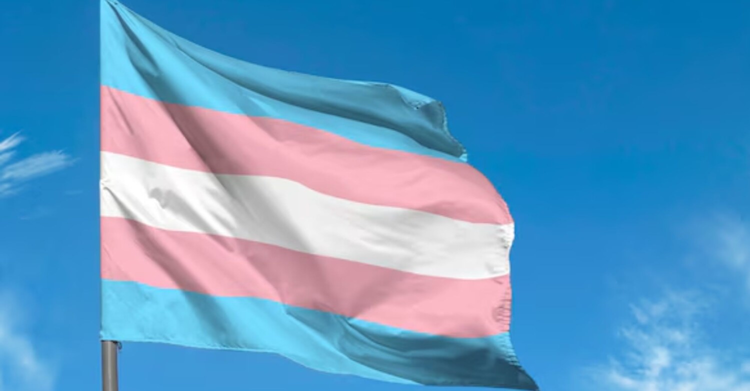 Bandera de la comunidad trans.