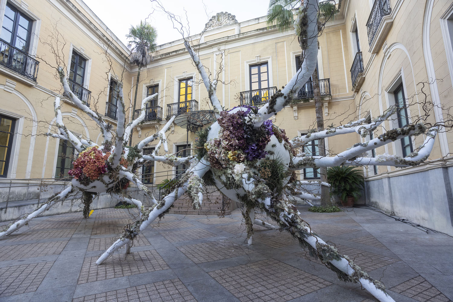 Así hemos vivido en Córdoba el mayor delirio de arte floral del mundo