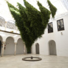 Flora, en Córdoba, es el mayor evento de arte floral y botánico del mundo.