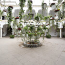 Flora, en Córdoba, es el mayor evento de arte floral y botánico del mundo.