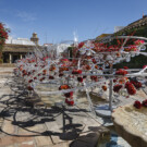 Flora, en Córdoba, es el mayor evento de arte floral y botánico del mundo.