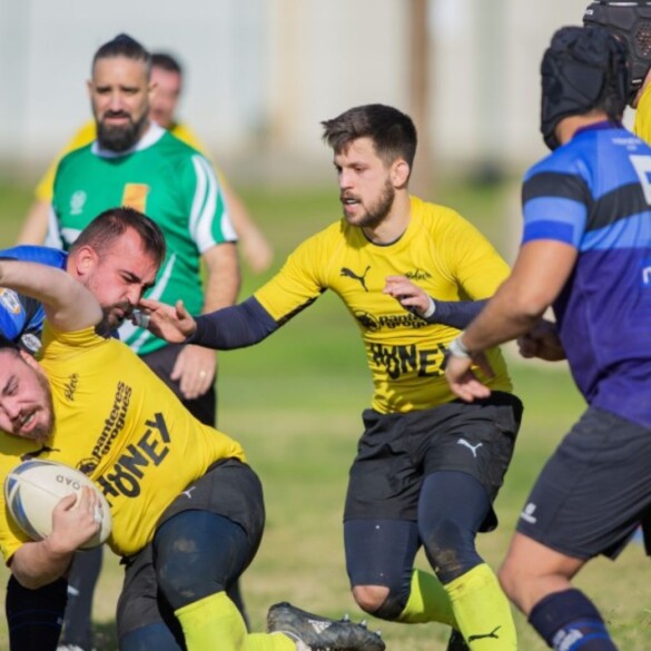 Panteres Grogues lanza nuevas becas para deportistas trans