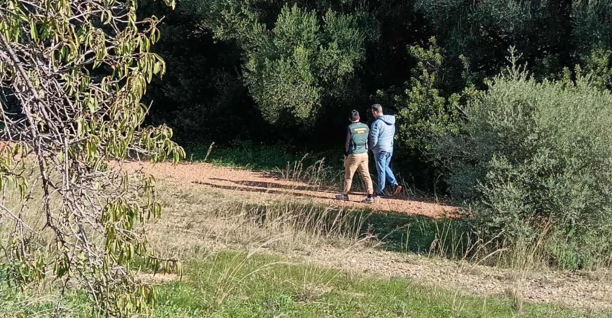 Torrent de Coanegra, lugar del asesinato