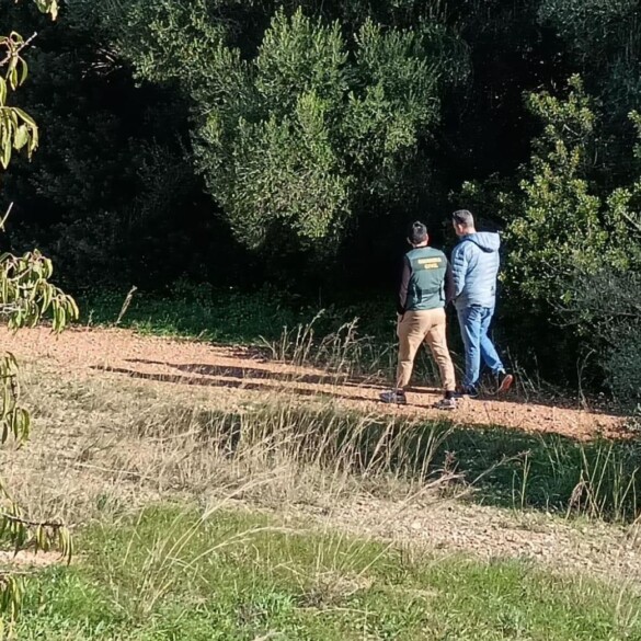 Detenido un hombre por matar a pedradas a su novio en Mallorca