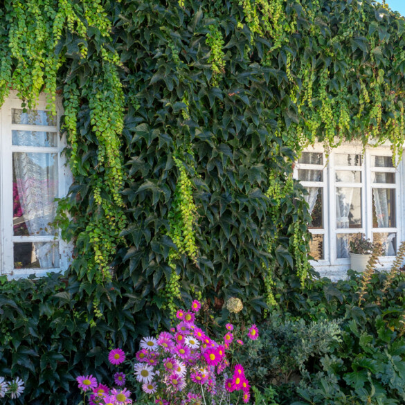 Casa Lourido, el secreto mejor guardado de Galicia (para vivir un 'Call me by your name' hecho a medida)