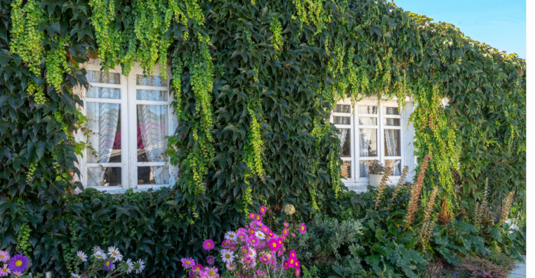 Casa Lourido, el secreto mejor guardado de Galicia (para vivir un 'Call me by your name' hecho a medida)