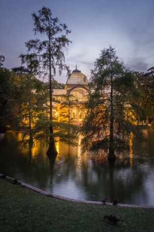 Imagen del Parque del Retiro, en Madrid.