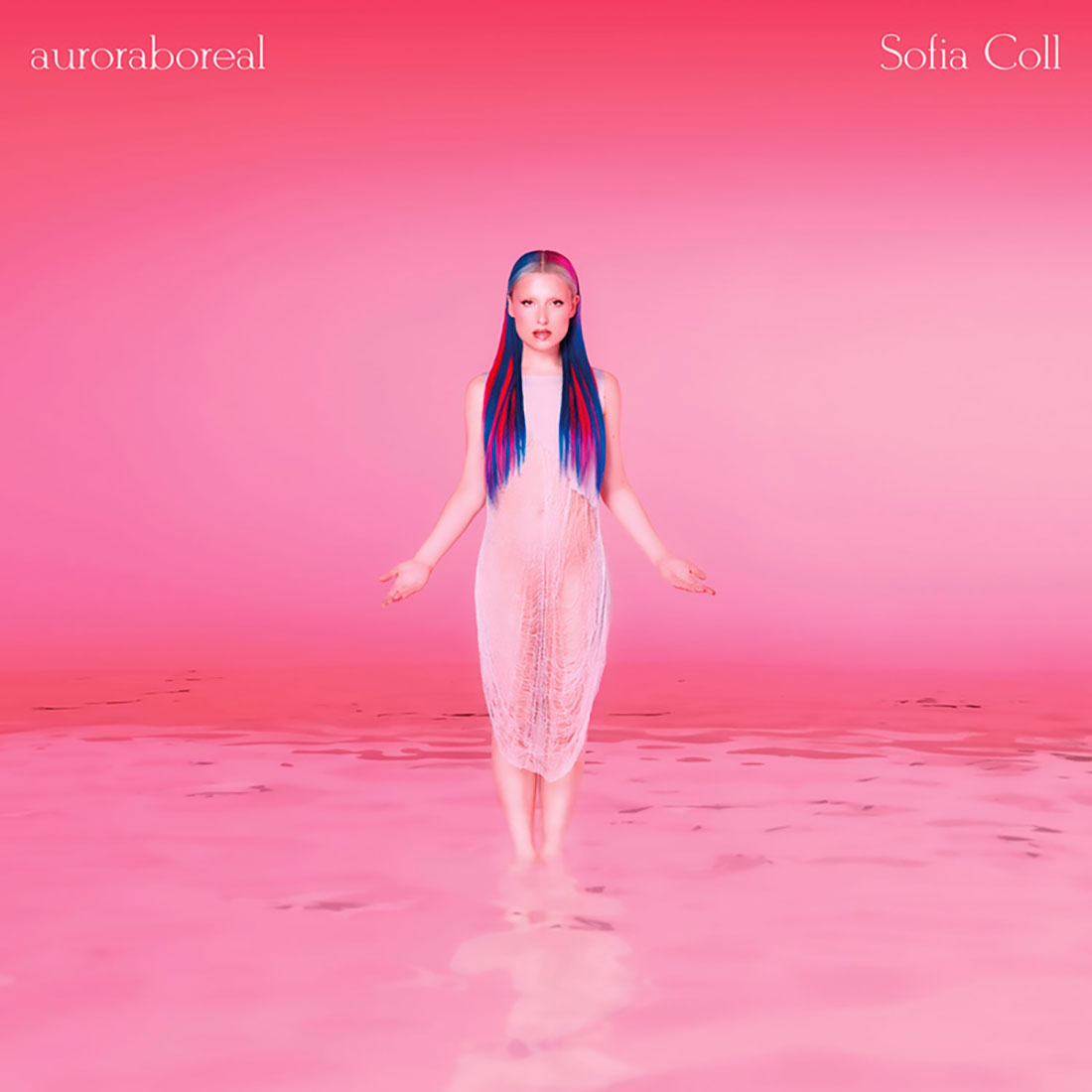 Portada de 'auroraboreal' de Sofia Coll