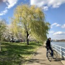Imágenes de Washington D.C.