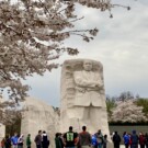 Imágenes de Washington D.C.