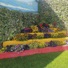Finca de recreo 3