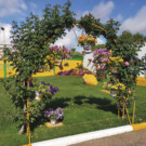 Finca de recreo 4