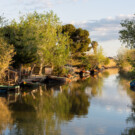 La Albufera está a un paso del Parador.