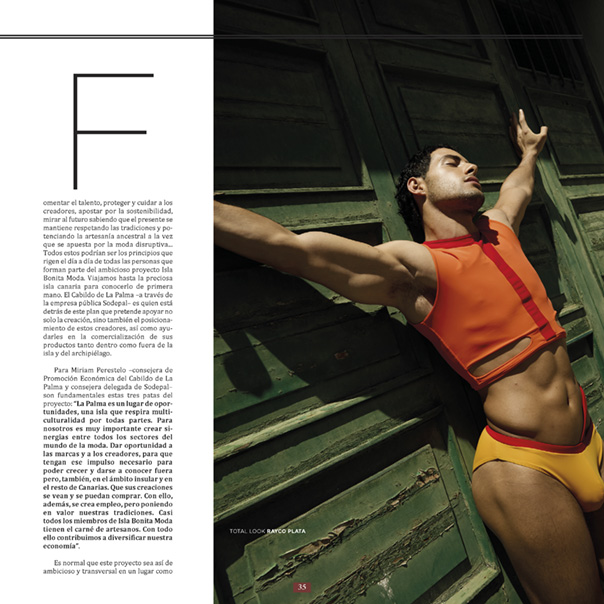 Página 35 de la revista