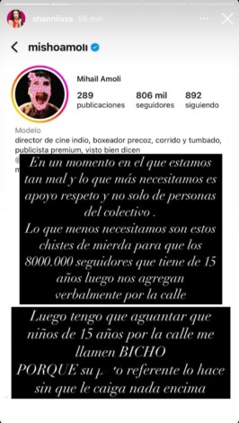 Captura historia de Instagram del perfil de Shannis